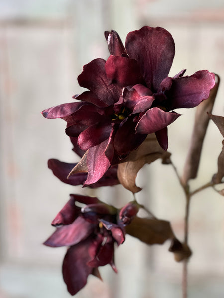 Canna Spray | 33" | Deep