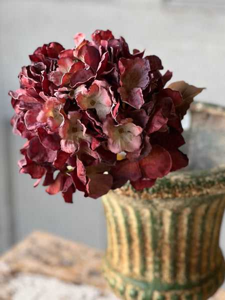 Empire Hydrangea | 25" | Rush | SOLD OUT