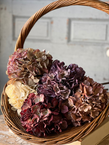 Empire Hydrangea | 25" | Dream | SOLD OUT