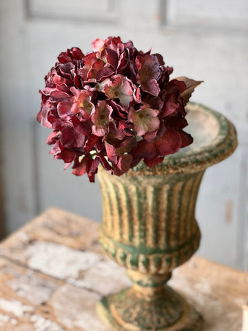 Empire Hydrangea | 25" | Rush | SOLD OUT