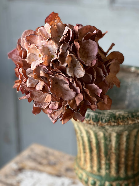 Empire Hydrangea | 25" | Flora | SOLD OUT