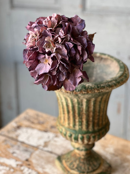 Empire Hydrangea | 25" | Lotus