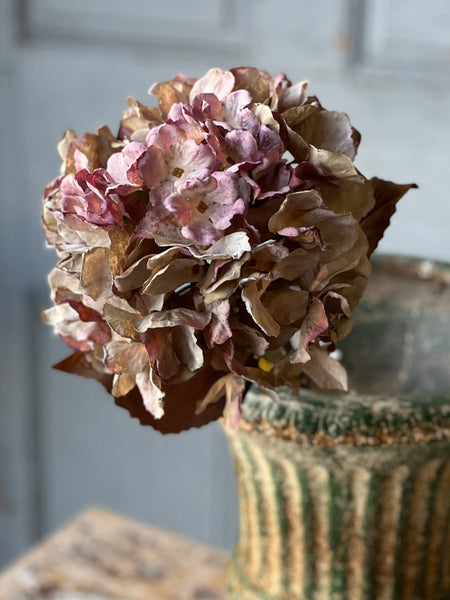 Empire Hydrangea | 25" | Love