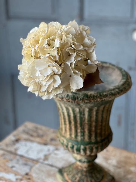 Empire Hydrangea | 25" | Dream | SOLD OUT