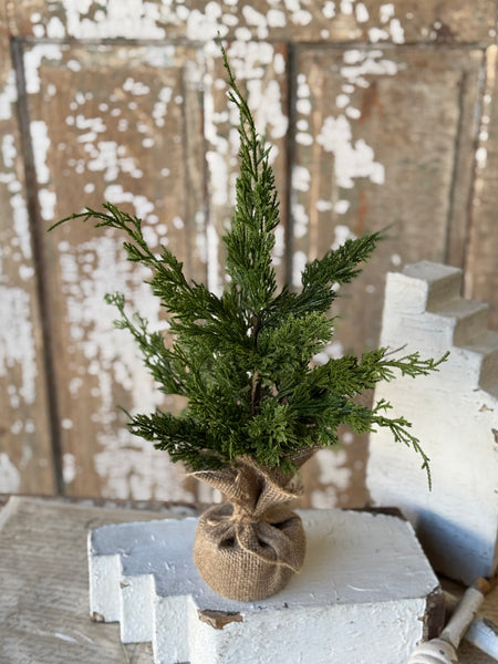 Woodland Cedar Tree | 18" | NOT CURRENTLY IN STOCK-New For Holiday 2026!