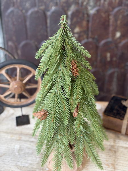 Arden Fir Tree | 18" | NOT CURRENTLY IN STOCK-New For Holiday 2026!