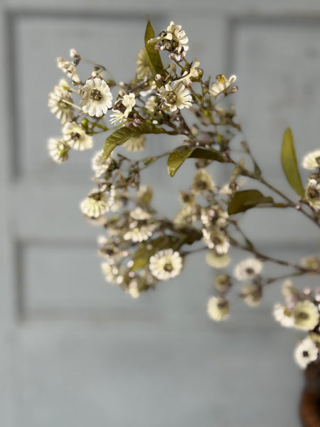 Dusk Daisy Spray | 36" | Ecru | NOT CURRENTLY IN STOCK-New For Holiday 2026!