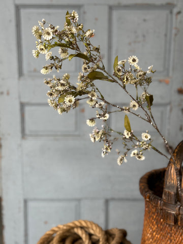 Dusk Daisy Spray | 36" | Ecru | NOT CURRENTLY IN STOCK-New For Holiday 2026!