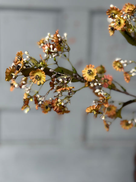 Dusk Daisy Spray | 36" | Fawn | NOT CURRENTLY IN STOCK-New For Holiday 2026!