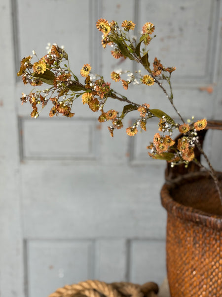 Dusk Daisy Spray | 36" | Fawn | NOT CURRENTLY IN STOCK-New For Holiday 2026!