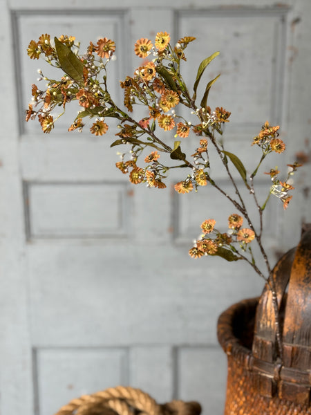 Dusk Daisy Spray | 36" | Fawn | NOT CURRENTLY IN STOCK-New For Holiday 2026!