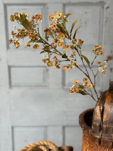 Dusk Daisy Spray | 36" | Fawn | NOT CURRENTLY IN STOCK-New For Holiday 2026!