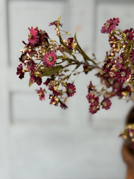 Dusk Daisy Spray | 36" | Cerise | NOT CURRENTLY IN STOCK-New For Holiday 2026!