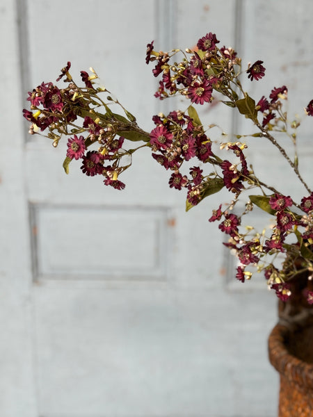 Dusk Daisy Spray | 36" | Cerise | NOT CURRENTLY IN STOCK-New For Holiday 2026!