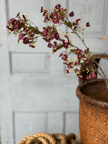 Dusk Daisy Spray | 36" | Cerise | NOT CURRENTLY IN STOCK-New For Holiday 2026!