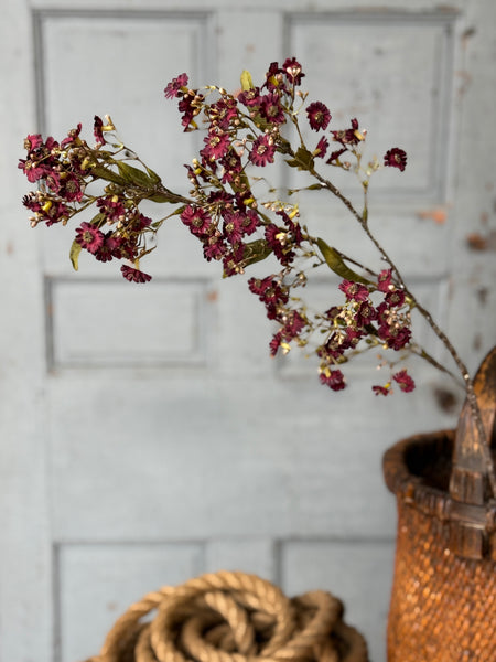 Dusk Daisy Spray | 36" | Cerise | NOT CURRENTLY IN STOCK-New For Holiday 2026!