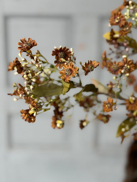 Dusk Daisy Spray | 36" | Chestnut | NOT CURRENTLY IN STOCK-New For Holiday 2026!