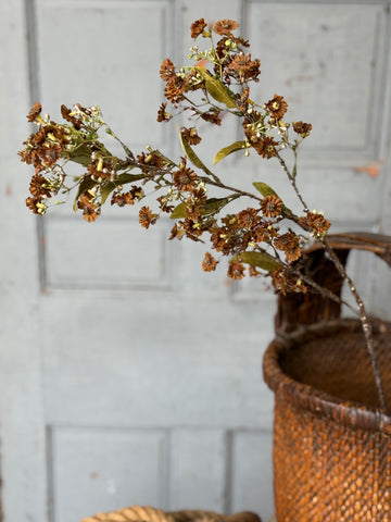 Dusk Daisy Spray | 36" | Chestnut | NOT CURRENTLY IN STOCK-New For Holiday 2026!