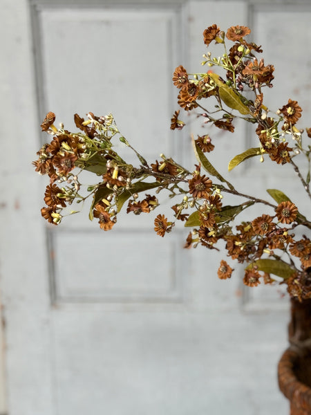 Dusk Daisy Spray | 36" | Chestnut | NOT CURRENTLY IN STOCK-New For Holiday 2026!