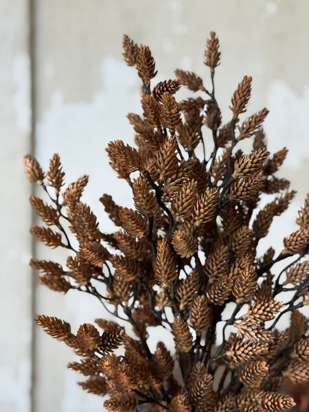 Plethora Pinecones Bush | 19" | NOT CURRENTLY IN STOCK-New For Holiday 2026!