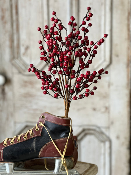 Hearth Berry Bush | 18" | SOLD OUT