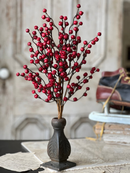 Hearth Berry Bush | 18" | SOLD OUT