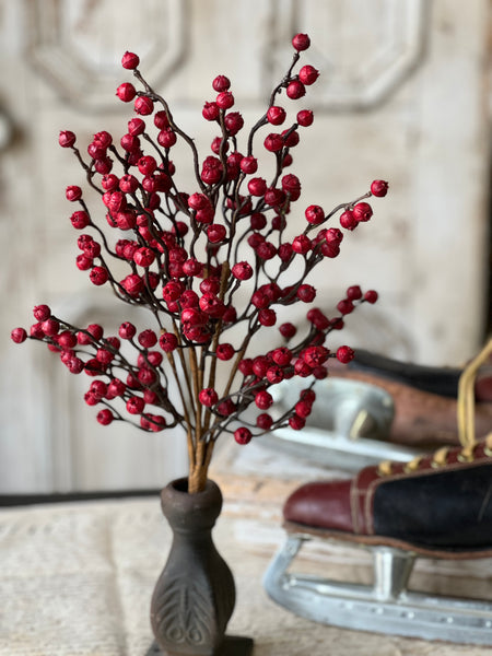 Hearth Berry Bush | 18" | SOLD OUT