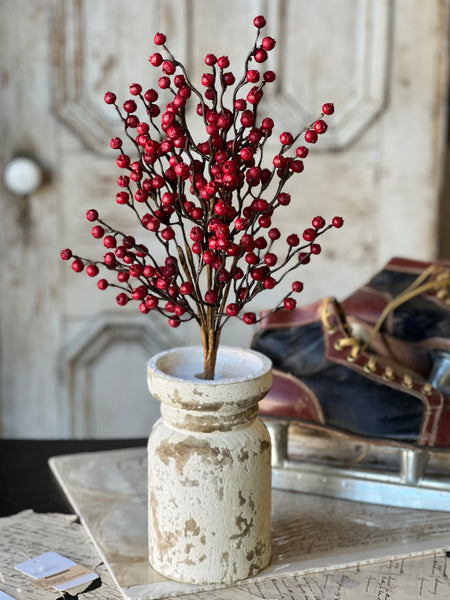 Hearth Berry Bush | 18" | SOLD OUT