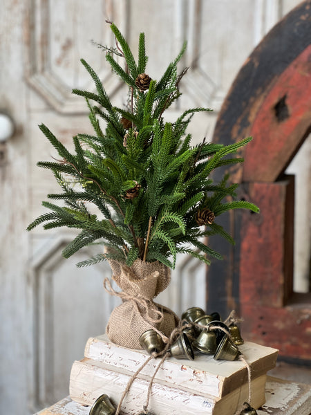 Pencil Pine Tree | 19" | SOLD OUT