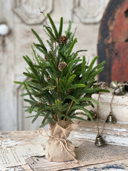 Pencil Pine Tree | 19" | SOLD OUT