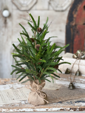 Pencil Pine Tree | 19" | SOLD OUT
