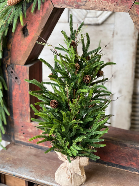 Pencil Pine Tree | 24" | SOLD OUT