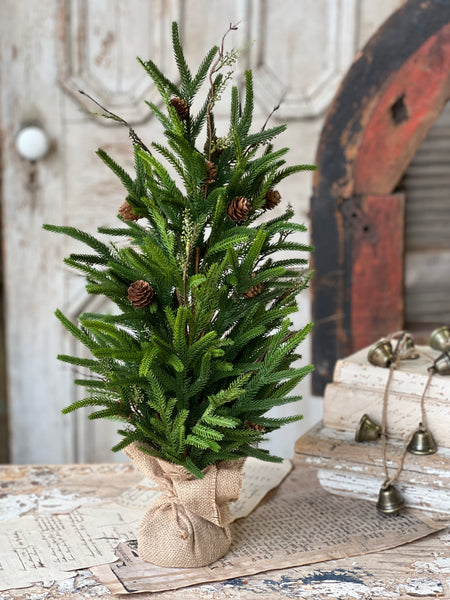 Pencil Pine Tree | 24" | SOLD OUT