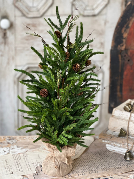 Pencil Pine Tree | 24" | SOLD OUT
