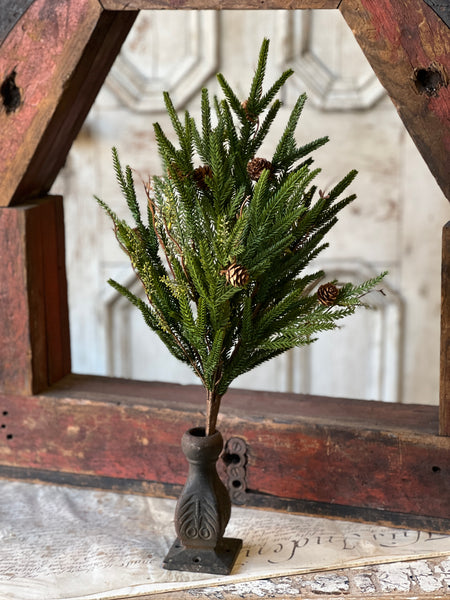 Pencil Pine Bush | 22" | SOLD OUT