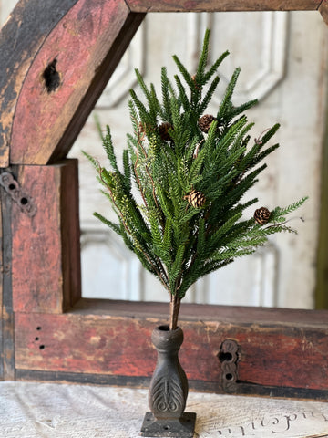 Pencil Pine Bush | 22" | SOLD OUT