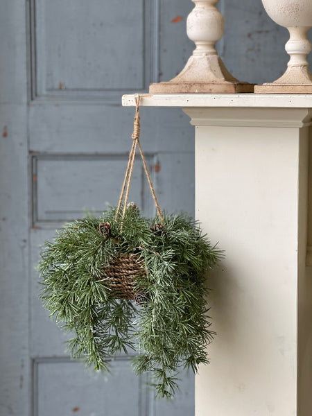 Shining Spindle Pine Hanging Basket | 13" | CASE PACK CLEAN UP SPECIAL!  From $5.95