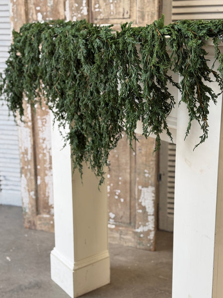 Emerald Falls Weeping Garland | 6' | NOT CURRENTLY IN STOCK-New For Holiday 2026!