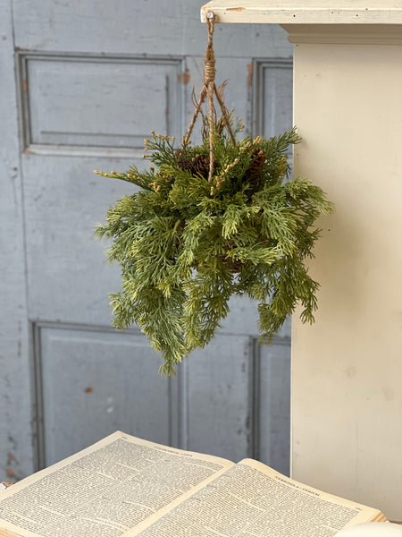 Steadfast Cedar Hanging Basket | 12" | SOLD OUT