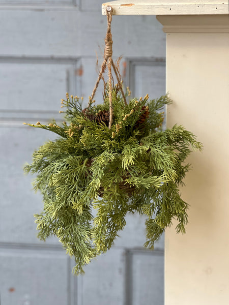 Steadfast Cedar Hanging Basket | 12" | SOLD OUT