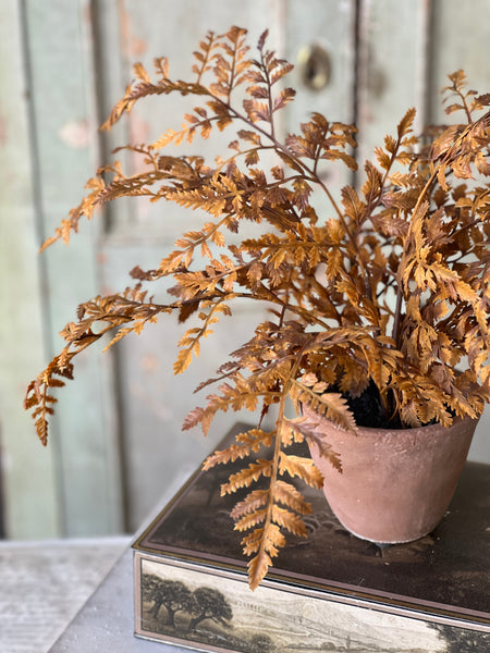 Autumnal Fern Potted | 18" | Cinnamon | SOLD OUT