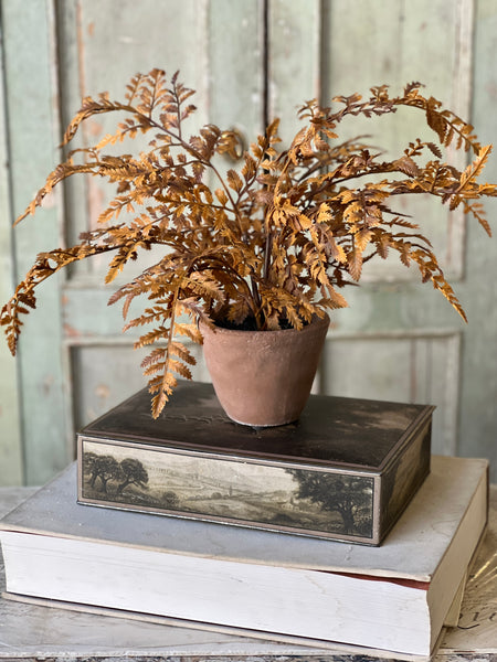 Autumnal Fern Potted | 18" | Cinnamon | SOLD OUT