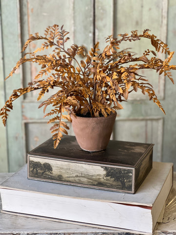 Autumnal Fern Potted | 18" | Cinnamon | SOLD OUT