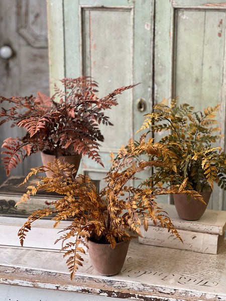 Autumnal Fern Potted | 18" | Cinnamon | SOLD OUT