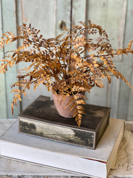 Autumnal Fern Potted | 18" | Cinnamon | SOLD OUT