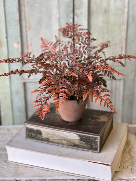 Autumnal Fern Potted | 18" | Russet | SOLD OUT