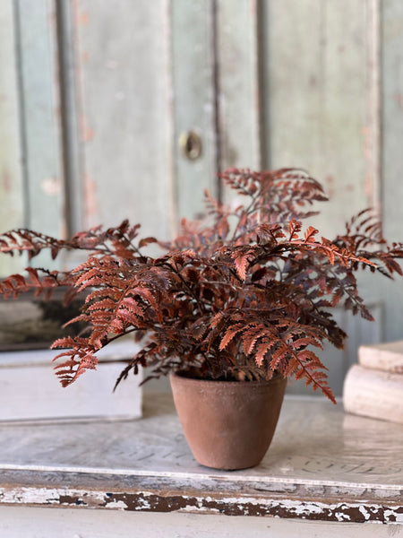 Autumnal Fern Potted | 18" | Russet | SOLD OUT