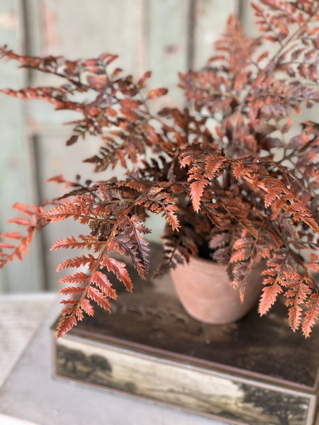Autumnal Fern Potted | 18" | Russet | SOLD OUT