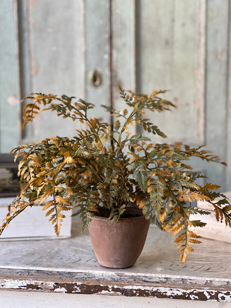 Autumnal Fern Potted | 18" | Moss | SOLD OUT
