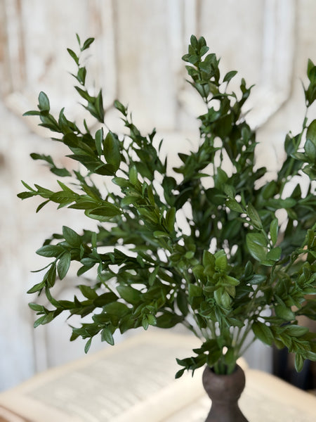 Nottswood Leaves Bush | 18" | NOT CURRENTLY IN STOCK-New For Holiday 2026!